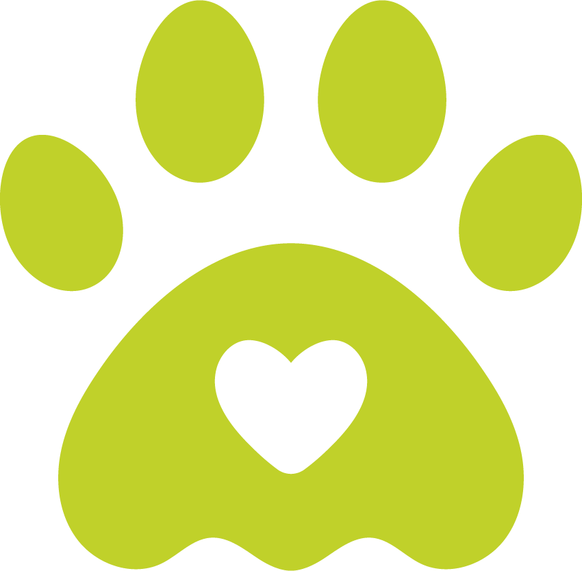 Icon Wassertropfen über offener hand.