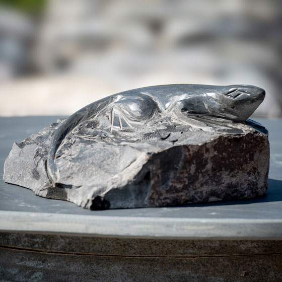 Basalt-Eidechse als Dekoobjekt für den Garten oder zu Hause verkauft von Löseke´s Steingarten.