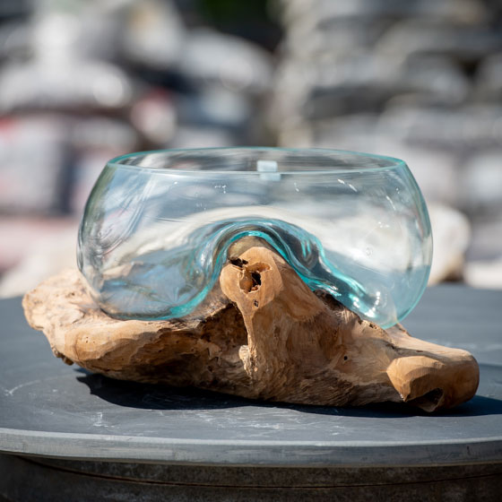 Bali Glasschale auf Kaffeeholzwurzel XL als Dekoobjekt für den Garten oder zu Hause verkauft von Löseke´s Steingarten.
