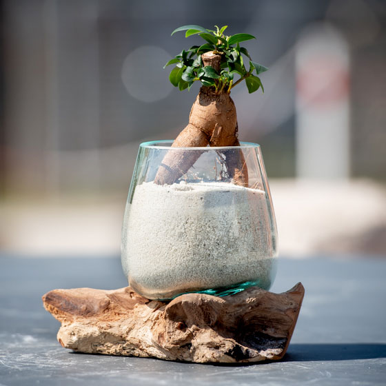 Bali Glasvase auf Holzsockel S als Dekoobjekt für den Garten oder zu Hause verkauft von Löseke´s Steingarten.